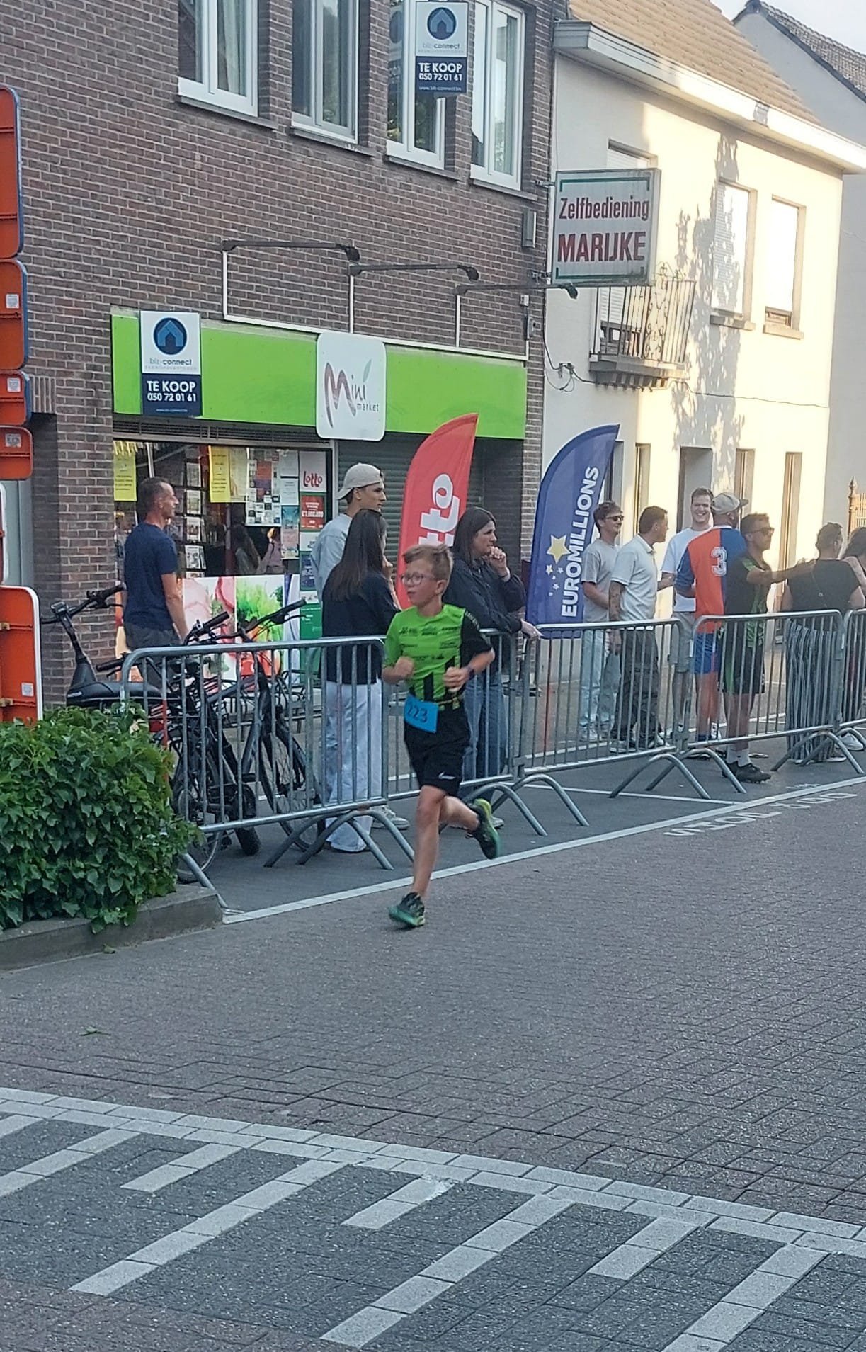 wout van hamme